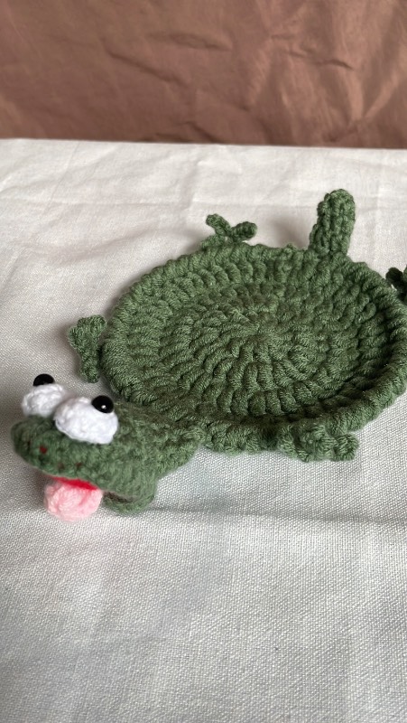 Lizard Coaster photo 1